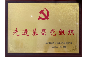 2021年度先进基层党组织